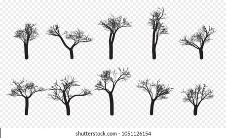 Naked Trees Silhouettes Set Hand Drawn Stock Vector Royalty Free