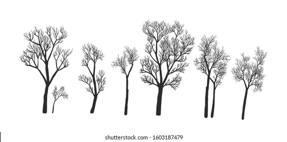 Set Naked Trees Silhouettes Stock Vector Royalty Free