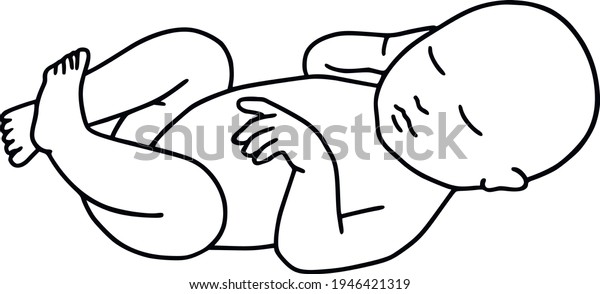 Newborn Baby Clipart Embryo Fetus Vector Stock Vector Royalty Free