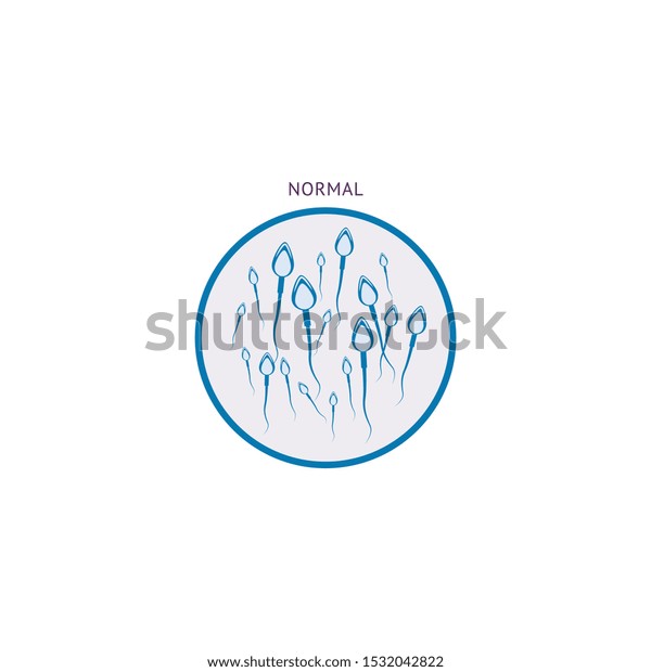 Normal Spermatozoids Morphology Shape And Form Analysis Icon Flat