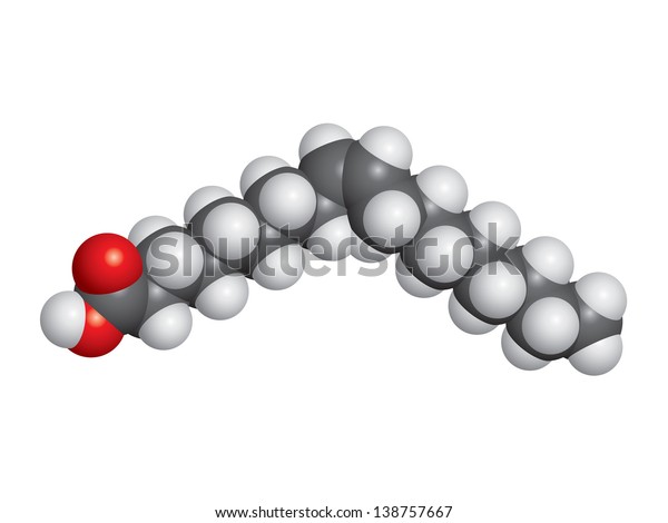 Oleic Acid Olive Oil Molecule Spacefill Stock Vector Royalty Free