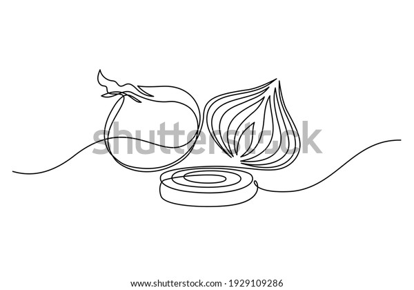 Onion Continuous Line Art Drawing Style Stock Vector Royalty Free