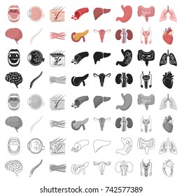 Organs Set Icons Cartoon Style Big Stock Vector Royalty Free