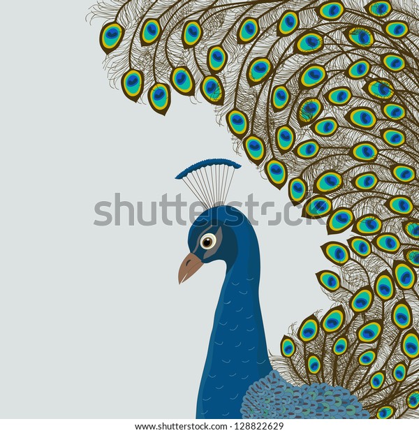 Peacock Stock Vector Royalty Free Shutterstock