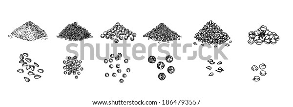 Piles Spices Sketch Black Pepper Peas Stock Vector Royalty Free