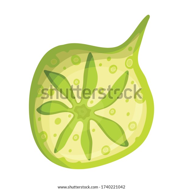 Plankton Vector Iconcartoon Vector Icon Isolated Stock Vector Royalty