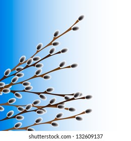 Pussy Willow Branches Stock Vector Royalty Free Shutterstock