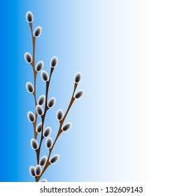 Pussy Willow Branches Stock Vector Royalty Free Shutterstock