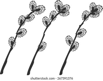 Pussy Willow Branches Silhouette Stock Vector Royalty Free 267391376