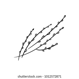 Pussy Willow Illustration Branches Buds Icons Stock Vektorgrafik