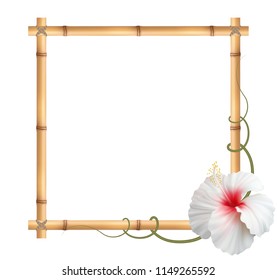 Realistic Bamboo Frame Hibiscus Flower Stock Vector Royalty Free