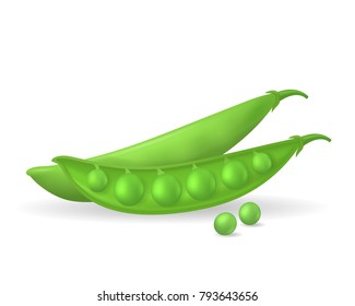 Realistic Detailed D Ripe Green Peas Stock Vector Royalty Free