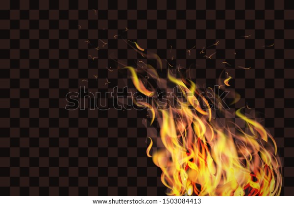 Realistic Fire Flames Vector Stock Vector De Stock Libre De Regal As