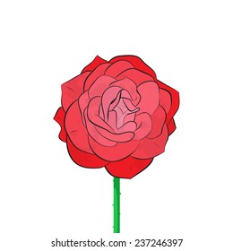 Red Rose Vector Stock Vector Royalty Free Shutterstock