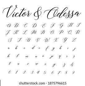 Script Font Vector Cursive Alphabet Stock Vector Royalty Free