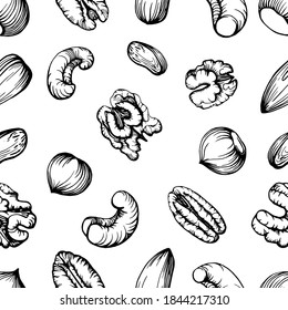 Different Nuts Set Sketch Style Hand Stock Vector Royalty Free