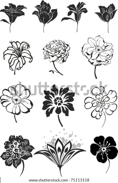 Set Black Flower Design Elements Isolated Stock Vector Royalty Free