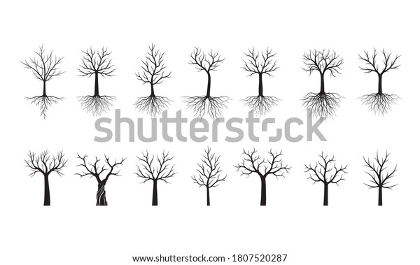 Set Black Naked Trees Vector Outline Stock Vector Royalty Free