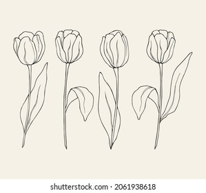 Set Hand Drawn Tulips Stock Vector Royalty Free Shutterstock