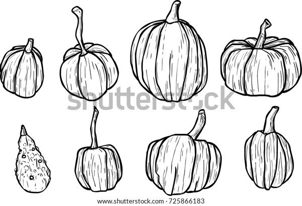 Set Hand Drawn Vector Pumpkins Outline Stock Vector Royalty Free