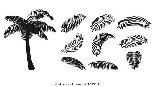 Set Palm Leaves Silhouette Tropical Tree Stock Vector Royalty Free Shutterstock