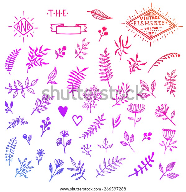 Set Vintage Floral Handsketched Elements Flowers Stock Vector Royalty