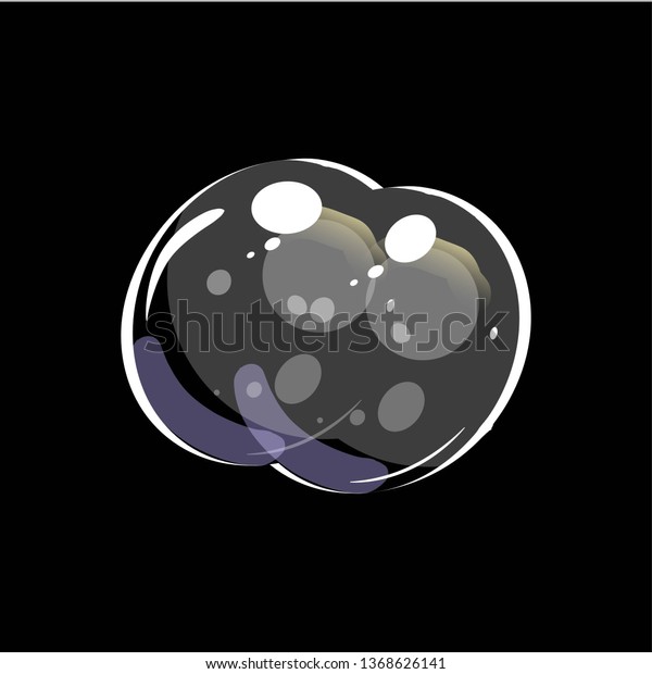 Shiny Soap Bubble Realistic Style Transparent Stock Vector Royalty