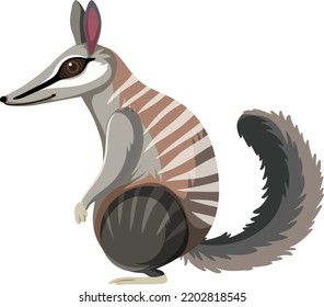 Side View Numbat Illustration Stock Vector Royalty Free