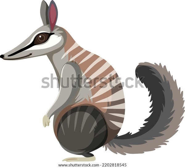 Side View Numbat Illustration Stock Vector Royalty Free