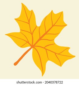 Simplicity Maple Leaf Freehand Drawing Flat Stock Vector Royalty Free