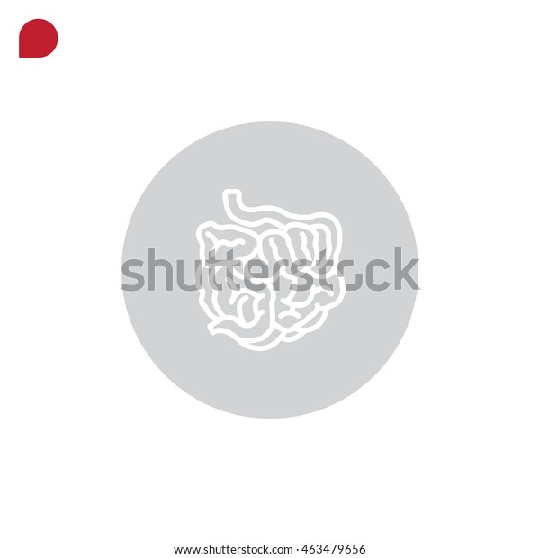 Small Intestine Icon Vector Stock Vector Royalty Free