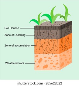 Biosphere Zone Life On Earth Natural Stock Vector Royalty Free 1792378966