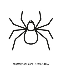 Spider Outline Icon Insect Symbol Stock Vector Royalty Free