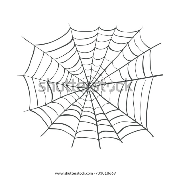 Spiderweb Web Spider Vector Illustration Webbing Stock Vector Royalty