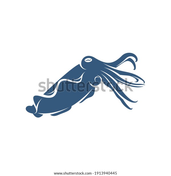 Squid Design Vector Illustration Creative Squid Stock Vector Royalty