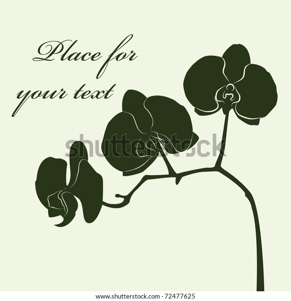 Stylized Orchid Branch Card Vector Illustration Stock Vector Royalty