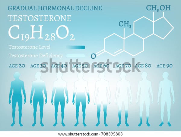 Testosterone Hormone Level Beautiful Medical Vector Stock Vector