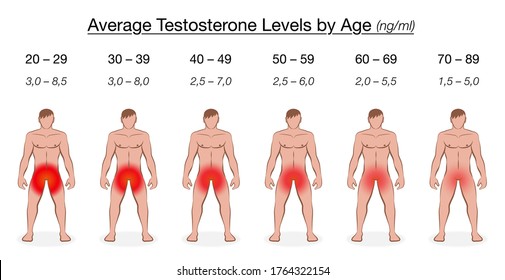 Testosterone Level Chart Age Decreasing Average Stock Vektor