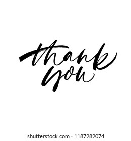 Thank You Phrase Handwritten Calligraphic Brush Vector De Stock Libre