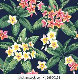 Tropical Seamless Pattern Plumeria Flowers Vector Vetor Stock Livre