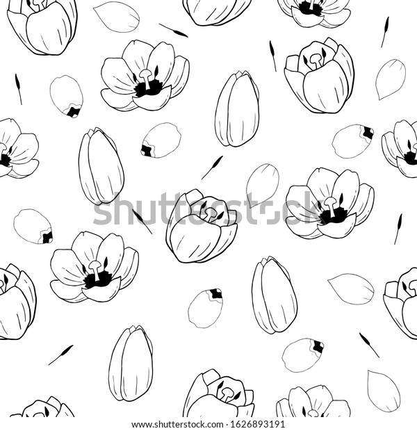 Tulips Seamless Pattern On White Background Stock Vector Royalty Free