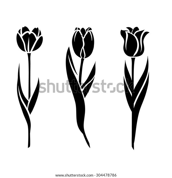 Tulips Silhouette Stock Vector Royalty Free