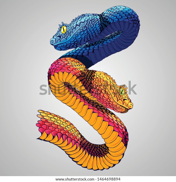 Two Snakes Illustration Art Vector