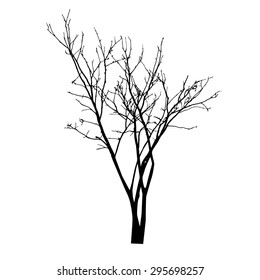 Naked Tree Silhouette Hand Drawn Vector Stock Vector Royalty Free