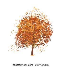 Vector Colorful Illustration Autumn Tree Isolated Stock Vector Royalty