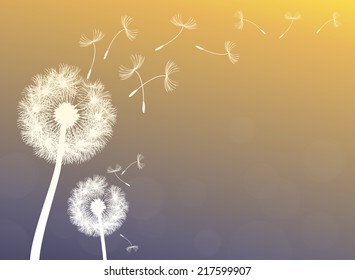 Vector Dandelion On Wind Loses Integrity Stock Vector Royalty Free