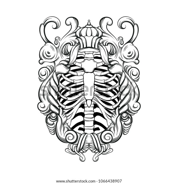 Vector Hand Drawn Illustration Human Ribs Stock Vector Royalty Free Shutterstock