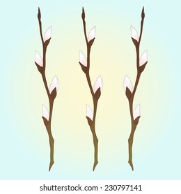 Vector Illustration Pussy Willow Branches Stock Vector Royalty Free