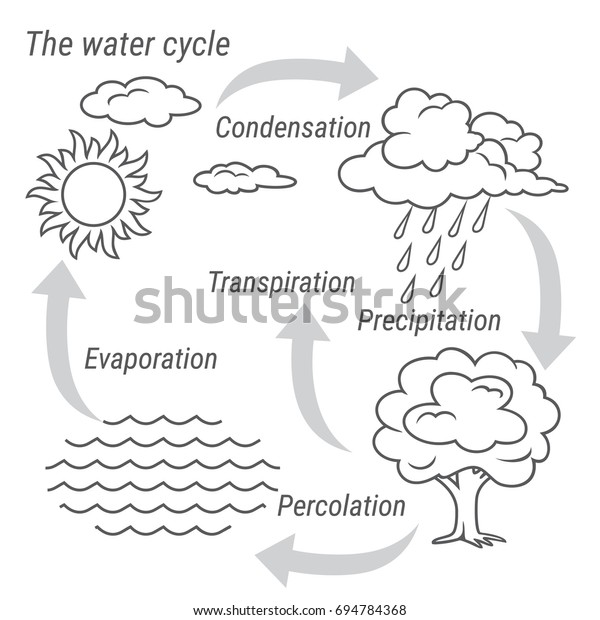 Vector Schematic Representation Water Cycle Nature Vector De Stock