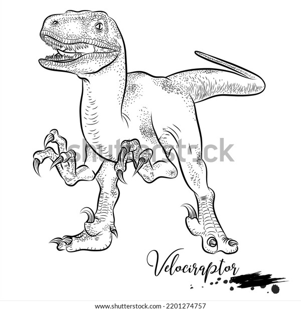 Velociraptor dinosaurio de sketch realista ilustración vector de